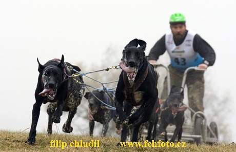 Tri studne podzim 08 - 488.jpg